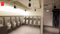 Dutch scientists turn office urine into electricity, nutrients and potentially hydrogen