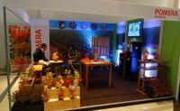 Paraguay Eyes Global Forestry Leadership As Expo Madera 2026 Opens In Asunción