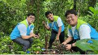 South Korean students help plant narra seedlings on Mt. Malarayat