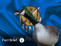 Do Canadian investors own more agricultural land in Oklahoma than Chinese investors?
