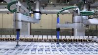 Nestlé invests CHF 157m into Thai pet food manufacturing