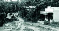 To many residents, it's 'paradise': Bundeena's unique charm captured in new book