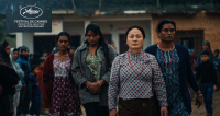 Elephants in the Fog to support flood victims in Nepal through special screening in France