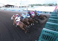 The high cost of doing business in New Mexico horse racing