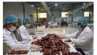 Agriculture ministry takes initiatives to improve production of dates in Oman