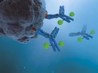 SOTIO Doses First Patient in Phase 1/2 CADENCIA-01 Clinical Trial of SOT109, a CDH17-Targeting ADC for Colorectal Cancer