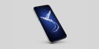 Wallpaper Wednesday: Crystal Bermuda Longtail