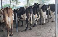 Why Uganda wants private money to help transform farming