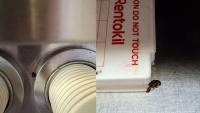 South London Burger King with cockroach infestation handed damning food hygiene rating