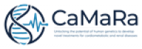 CaMaRa Launches with Broad Institute Collaboration to Develop Novel Cardiometabolic and Renal Medicines