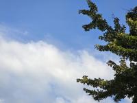 NJ weather: Warming up, watching a round of storms for Thursday