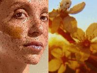 Just Like Honey: Why the Ancient Ingredient Is Suddenly Everywhere