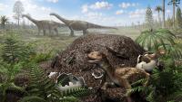 The biggest dinosaurs couldn't sit on their eggs. Scientists say they did this instead