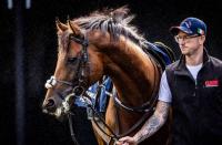 Super fields take shape for seven Irish Champions Festival Group Ones
