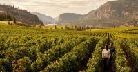 This Valley in British Columbia Is Home to Canada’s First UNESCO Creative City of Gastronomy