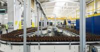 Glass bottle and jar manufacturer BA Glass reports weaker sales