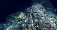 Marianas and Territorial Leaders Urge Governor Apatang to Oppose Deep Seabed Mining Lease Sale; Launch Letter Campaign