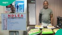 Breaking: NDLEA arrests fugitive drug kingpin after 2 years on the run