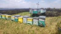 Local authorities from 11 districts of Moldova learn to manage sanitation services, beekeeping activities more effectively in EcoContact programme