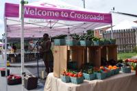 Crossroads Farmers Market celebrates 20th season amid high tensions in immigrant communities