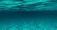 Physics-Based AI Delivers First Global Map of Carbon Cycling in Ocean Sediments