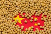 China continues US soybean push amid South American purchases