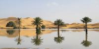 From drought to floods in North Africa: What could the super El Niño do next?