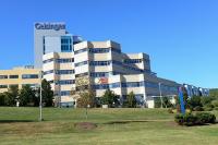 Mass ICE raids at Geisinger site leave workers ‘terrified,’ witness says
