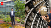 South Korea built an underground seed vault to save wild plants but some seeds could help crops survive a hotter, harsher future