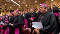 What does the Vatican's Master's Programfor Becoming a Bishop look like?