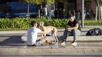 Weather in Buenos Aires: temperature rises to 19°C this September 9 before nighttime rains and increased humidity