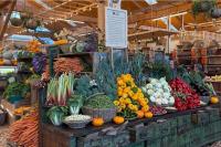 Cape Town’s popular Oranjezicht Market has plans to move – Again