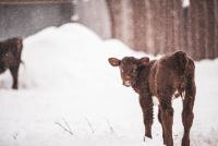 Strong El Niño could reshape winter weather for U.S. ag