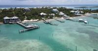Woman Lucky to Be Alive After Being Mauled in Shark Attack