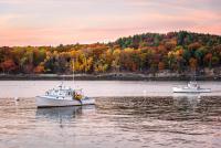 Maine Fall Foliage 2026: The First Official Report Is In