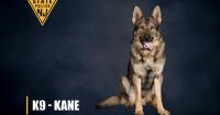 New Jersey State Police honor career K9