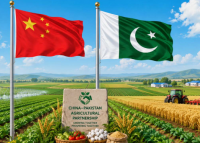 China-Pakistan agricultural researchers deepen cooperation on climate-resilient agriculture