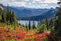 Government of Canada releases new climate change report designed to inform policy- and decision-makers as the country develops its adaptation plans  