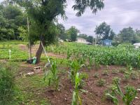 Maya community in North Omaha lands grant for climate resilience