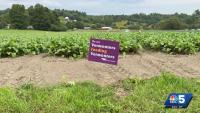 Vermont program marks one year of supporting local farms and fresh food access