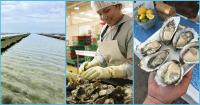 New innovation hub aims to build more resilient aquaculture