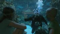 North Carolina Aquariums celebrate 50 years of conservation and education