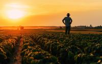 Farmland Partners: Squeezing Every Last Dollar From The Land