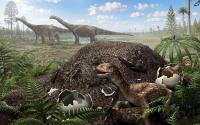 To Researchers' Surprise, This Giant Dinosaur Laid Eggs in a Cold Climate