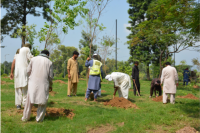 CDA steps up plantation drive to improve Islamabad’s green spaces