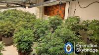 Big £70k Wednesbury cannabis farm found in residential street ‘closed down’