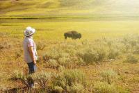 Montana’s Most Populous Counties Have Grown Older