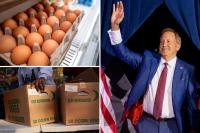 Texas AG Ken Paxton announces giveaway of 7 million free eggs