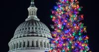 Idaho seeking fourth grade representative for holiday tree-lighting in Washington D.C.
