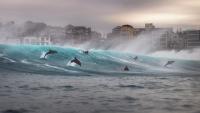 Sydney photographer wins international award for shot at Tamarama beach